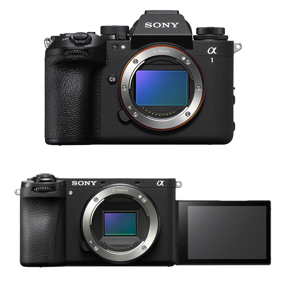 Sony Mirrorless Cameras