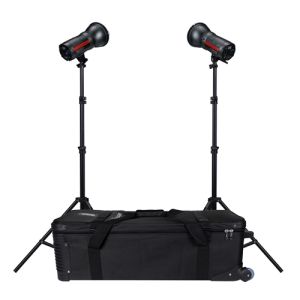 ProMaster Unplugged LED500D Mono 2-Light Kit