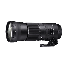 Sigma 150-600mm f/5-6.3 DG OS HSM "C" Series Lens - for Canon EF Mount