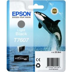 Epson Killer Whale T7607 Light Black ink cartridge