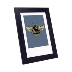 Kimber 8x10' Photo Frame - Black