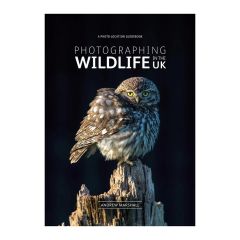 Photographing Wildlife In The UK
