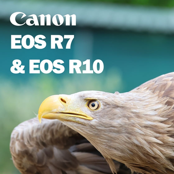 EOS R7 and R10 pre-order