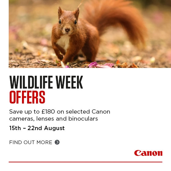 Canon Week Offersr