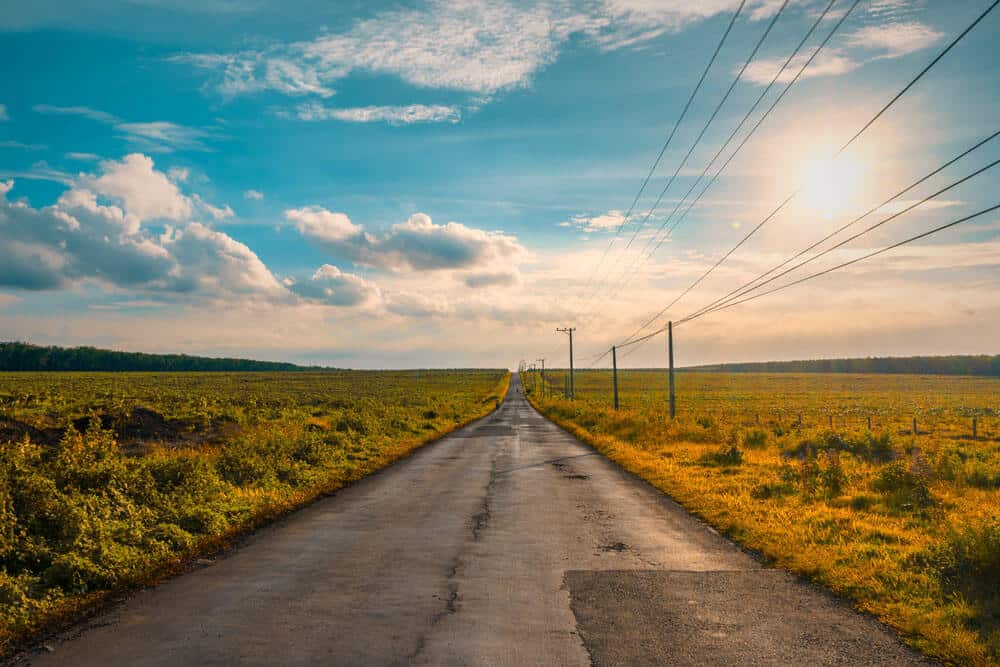 field landscape at sunset