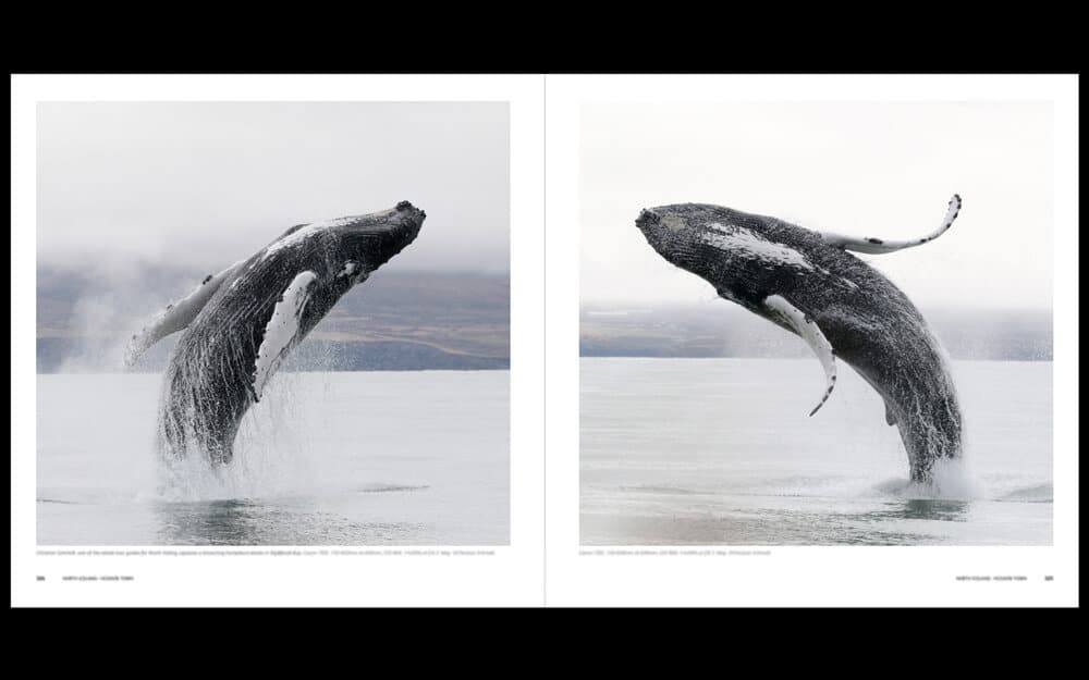 A few early example pages from the forthcoming Iceland guide