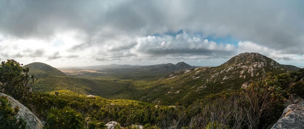 landscape