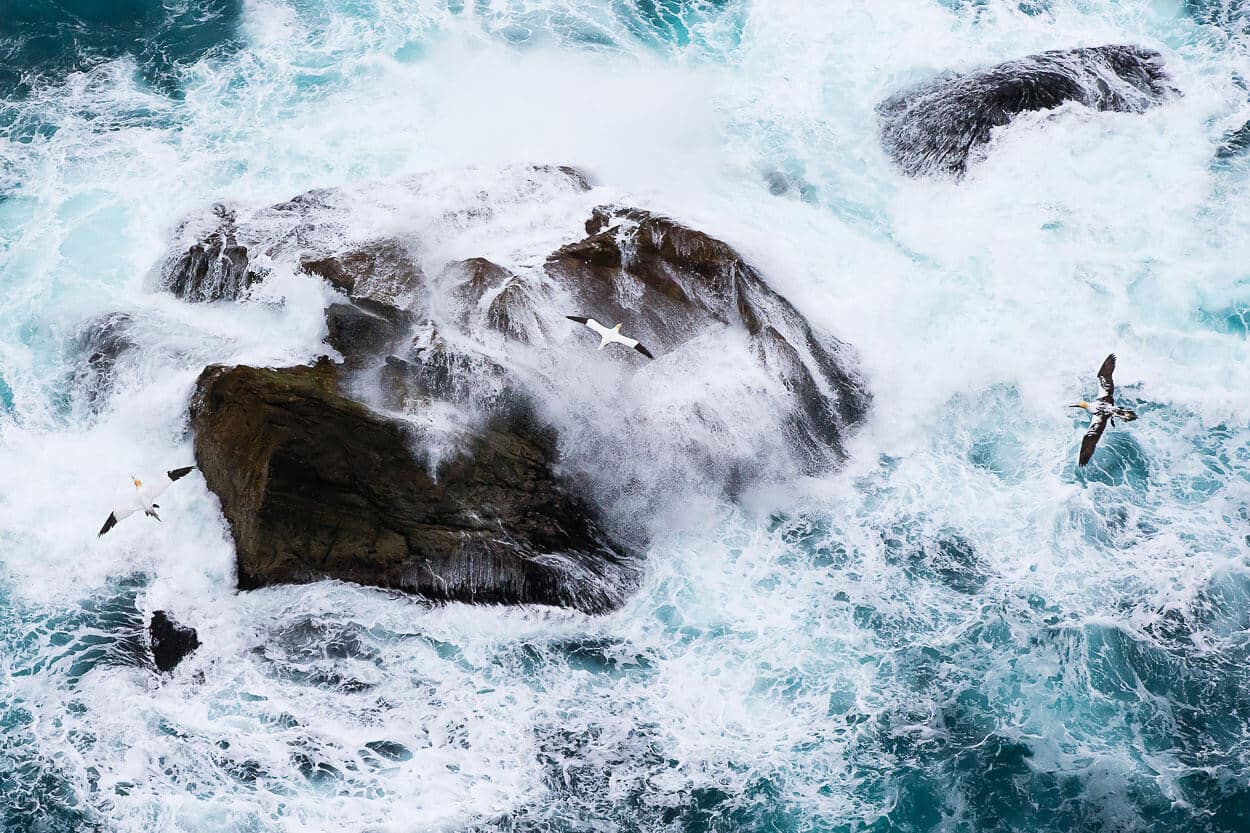 Nikon lenses shop image of sea and rocks.