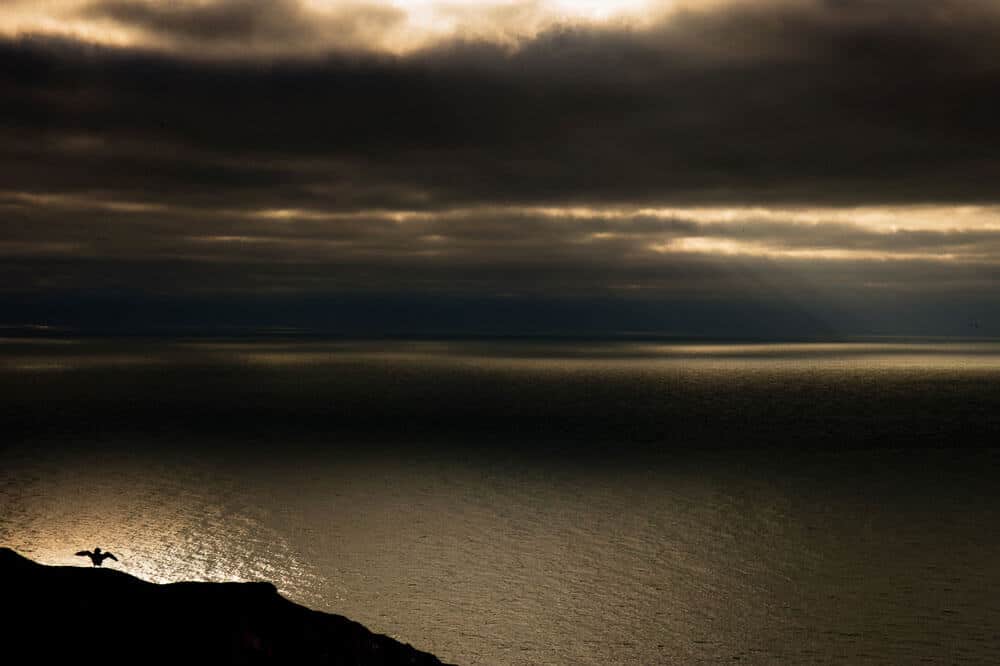 Grey scenery from online camera shop.