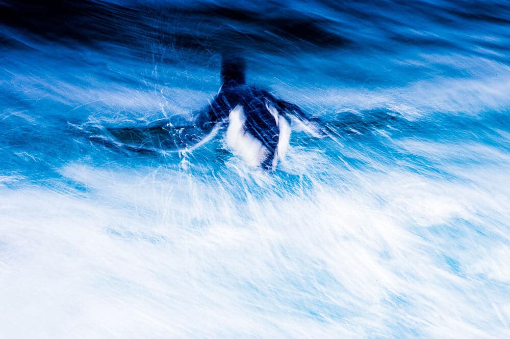 Canon seller's image of the sea.