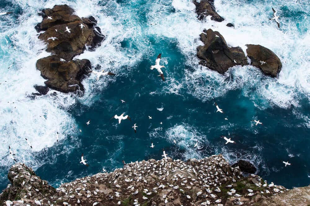 terrain and sea imagery from nikon lenses distributor.