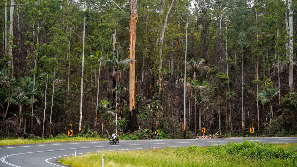 cyclists on a winding road