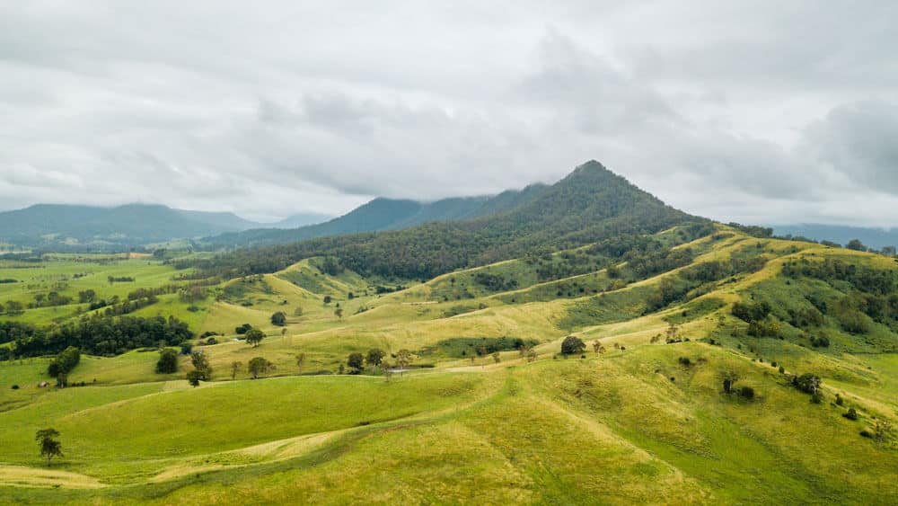 Border Ranges National Park landscape